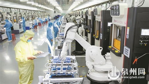 石獅 科技創新催生產業蝶變，網絡技術服務賦能企業新未來